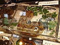 DSC06803
