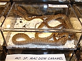 DSC06805
