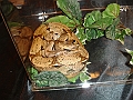 DSC06807