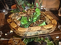 DSC06808