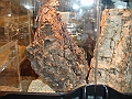 DSC06809