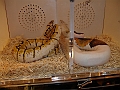 DSC06812