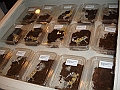 DSC06819
