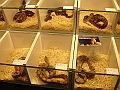 DSC06829
