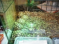 DSC06839