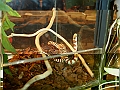 DSC06842