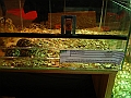 DSC06843