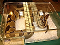 DSC06852