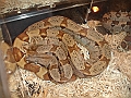 DSC06860
