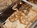 DSC06861