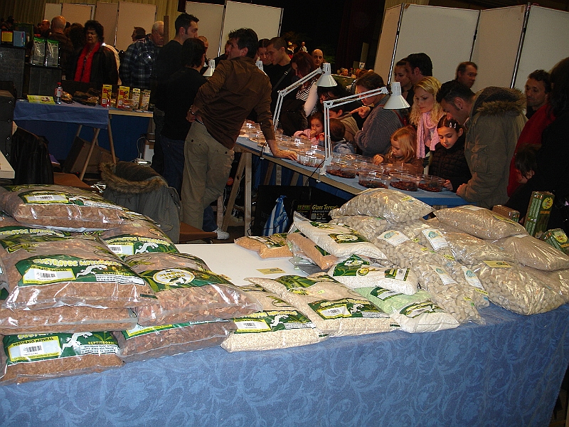 DSC06135.JPG