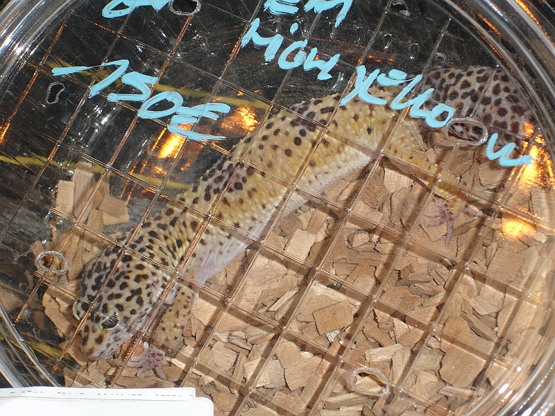 DSC06164.JPG