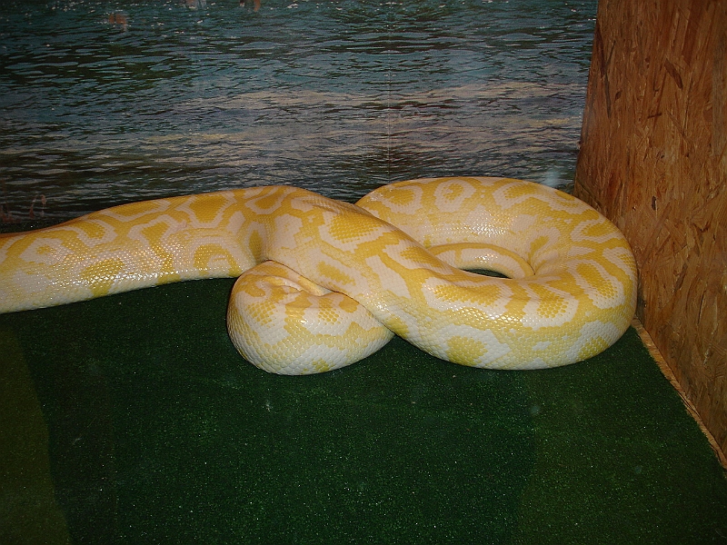 DSC06214.JPG