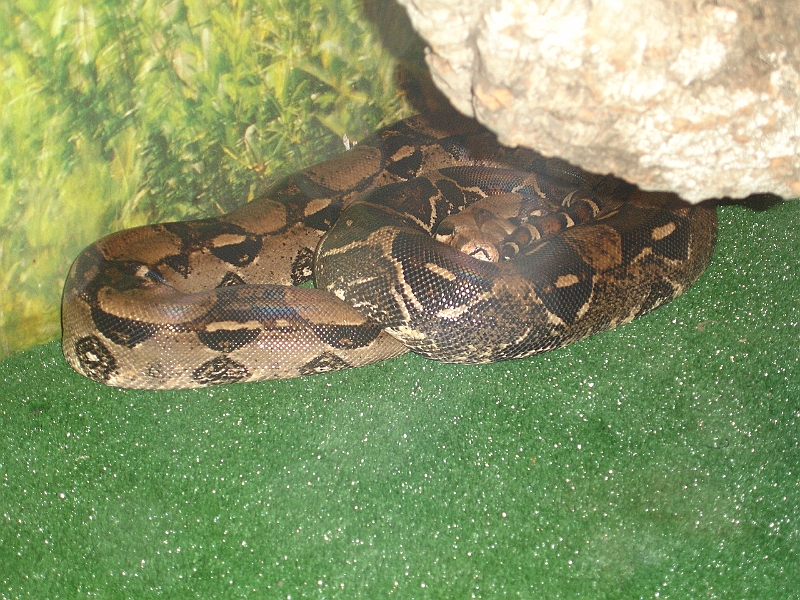DSC06217.JPG