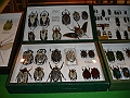 DSC06070