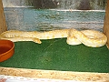 DSC06121