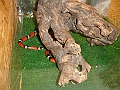 DSC06126