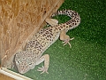 DSC06128