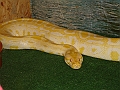 DSC06138