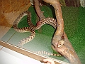 DSC06156