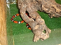 DSC06161