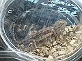 DSC06167