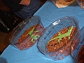 DSC06180