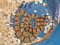 DSC06195