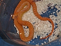 DSC06199