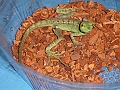 DSC06209