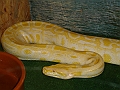 DSC06213