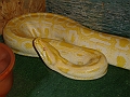 DSC06215