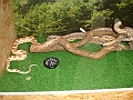DSC01445