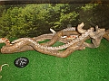 DSC01447