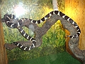 DSC01449