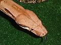 DSC01454