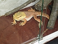 DSC01473