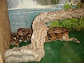 DSC01480