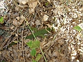 DSC02245
