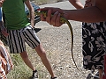 DSC04169