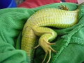 DSC04244