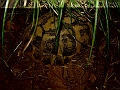DSC04089