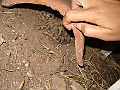 DSC04095
