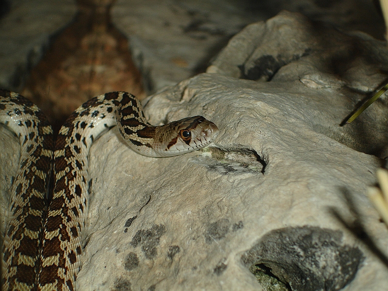 DSC00024.JPG
