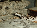 DSC01335