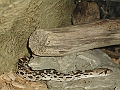 DSC01351
