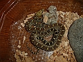 DSC01413
