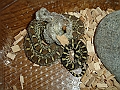 DSC01417