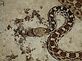DSC01664