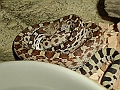DSC02105